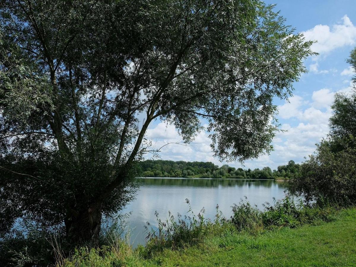 Pension Steinle Erbach an der Danau Kültér fotó