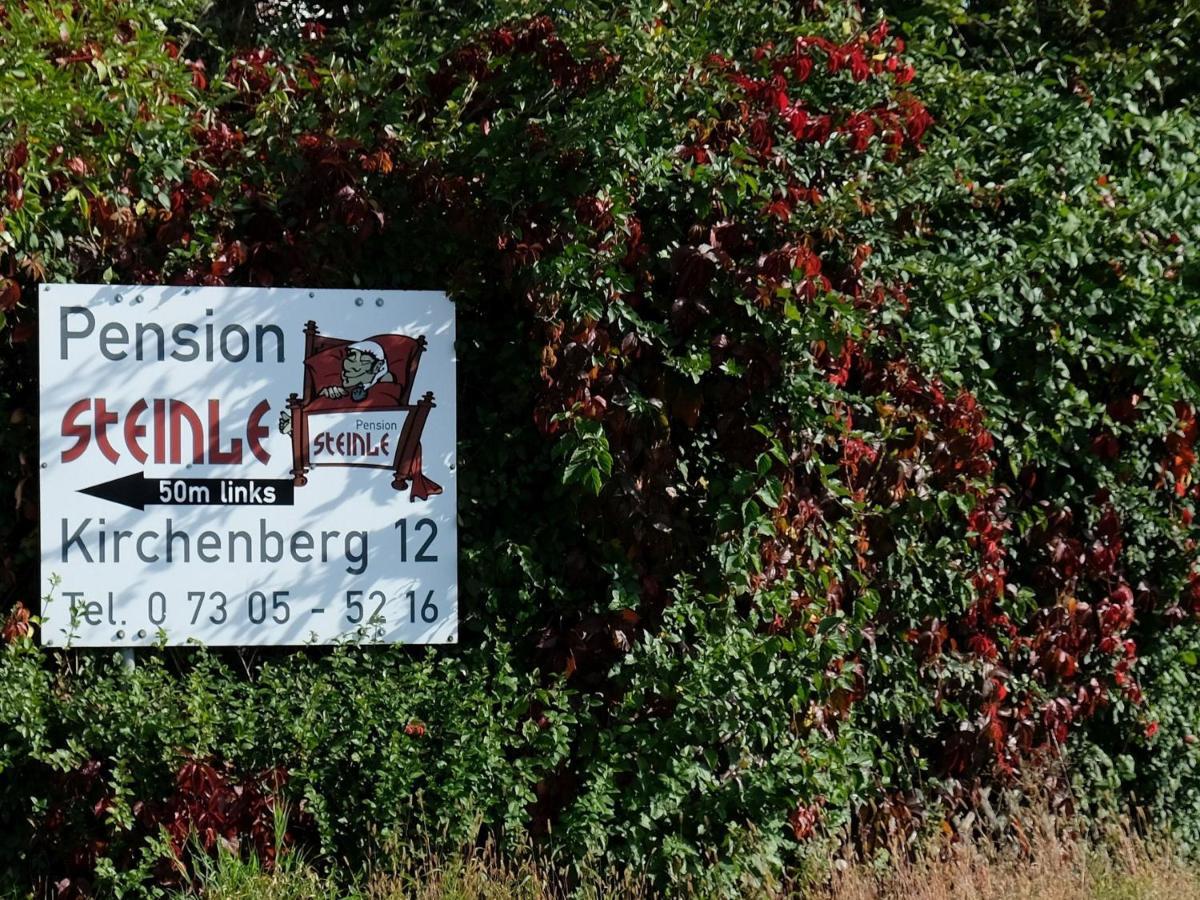 Pension Steinle Erbach an der Danau Kültér fotó